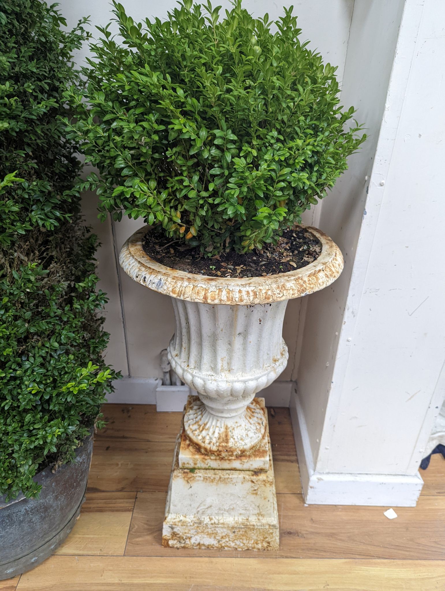 A pair of Victorian painted cast iron campana garden urns, height 70cm